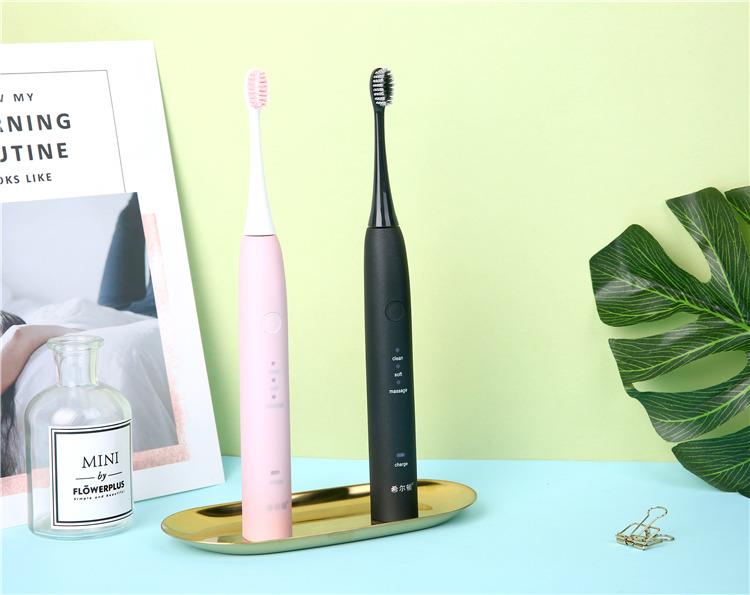 Sonic Electric Waterproof Couple Toothbrush